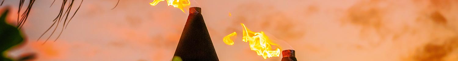 Trauma Luau 2026 Banner