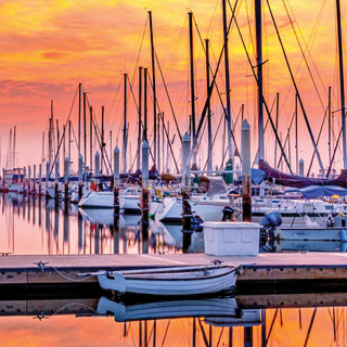 Oncology Update San Diego 2026 Presented by Scripps Cancer Center Banner